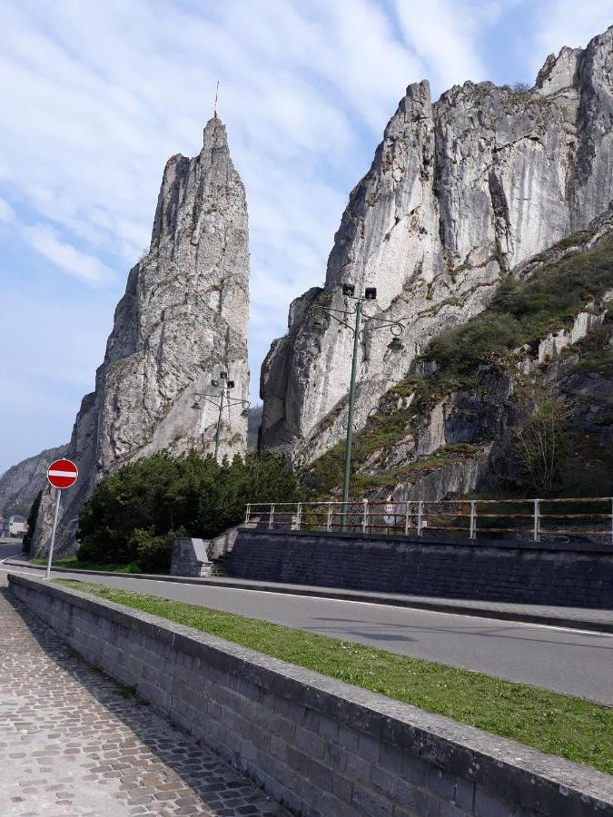 Voisins Du Kayak Villa Dinant Exterior photo