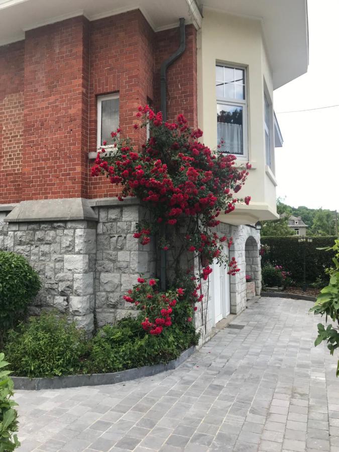 Voisins Du Kayak Villa Dinant Exterior photo